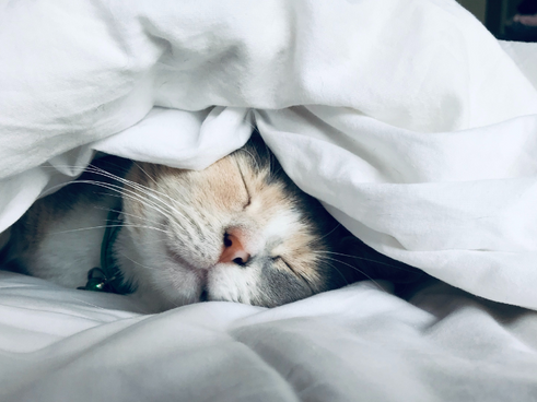 Can More Sleep Make You Happier?