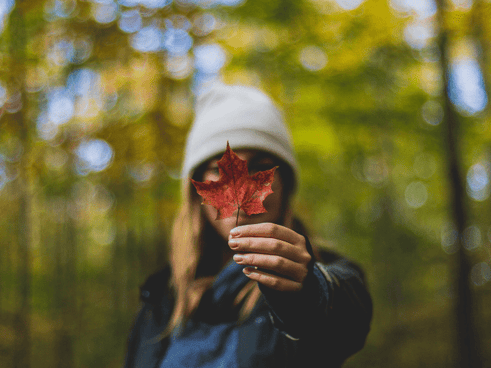 7 Mindful Activities To Add to Your Daily Routine