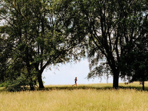 16 Best London Parks for Running